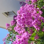 赫瓦尔旅馆